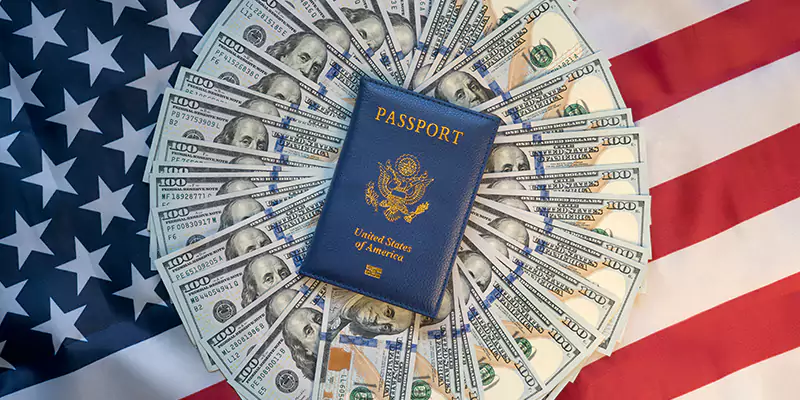 Why Choose Us for Your US Investment Visa Journey for Denmark?